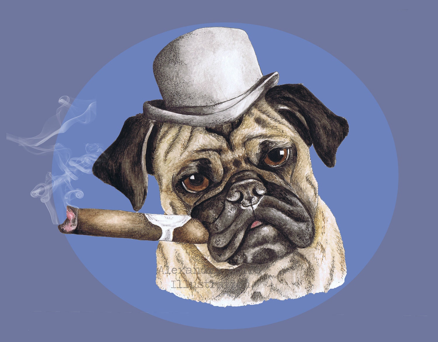 Dog, Pug smoking cigar wearing bowler hat illustration 8 x11 wall art print