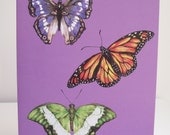 Three butterflies, purple background, Illustration greeting card