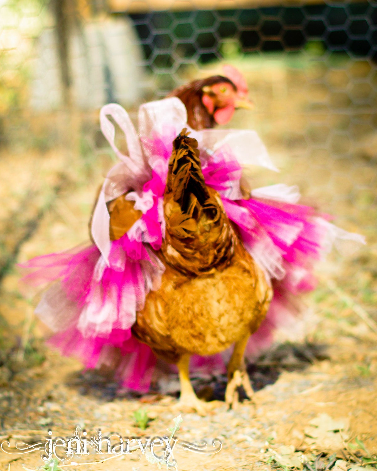 Custom, handmade tutus for people and pets of all ages