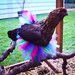 Custom, handmade tutus for people and pets of all ages