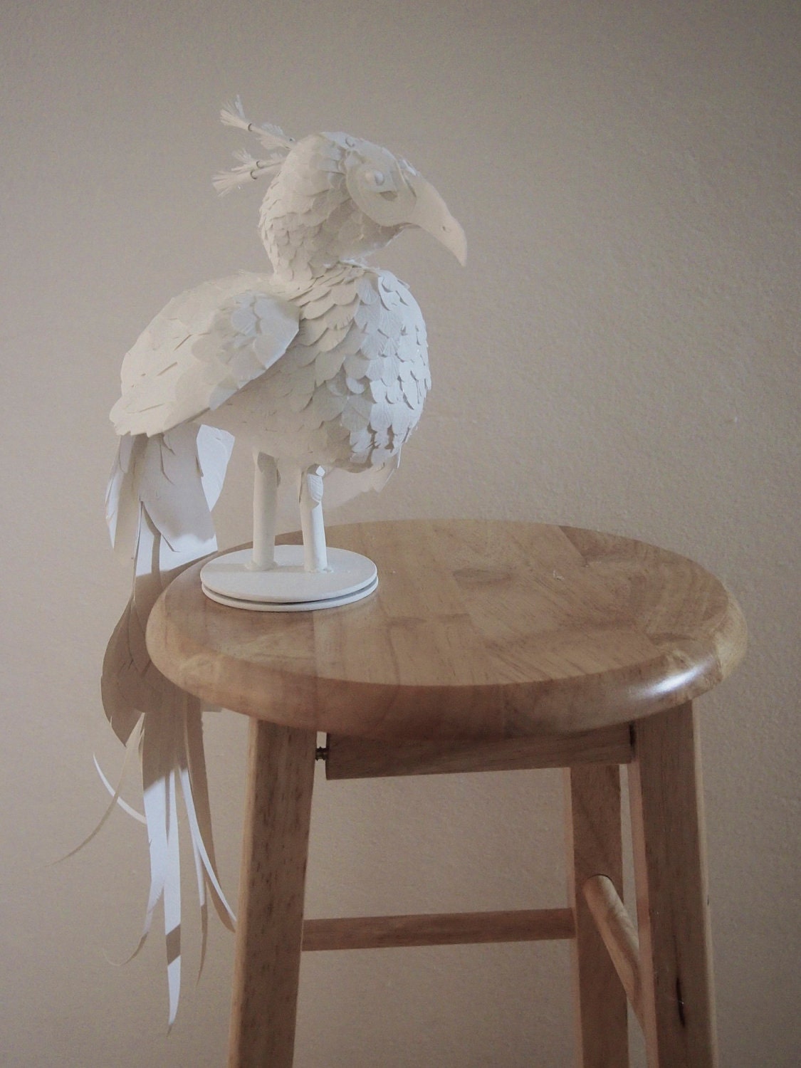 Paperdermy Peacock