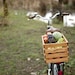Wood Bike Basket