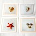 Greeting cards, set of 4, beach photography, blank inside