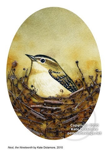 Bird Nest no. 19 Carolina Wren Watercolor and Found Object Art Print