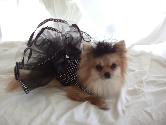 Gorgeous, elegant, black harness tutu dress, Size S/M,  Pink Punk Puppy Designs