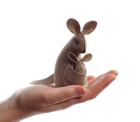 Kangaroo Kit