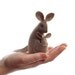 Kangaroo Kit