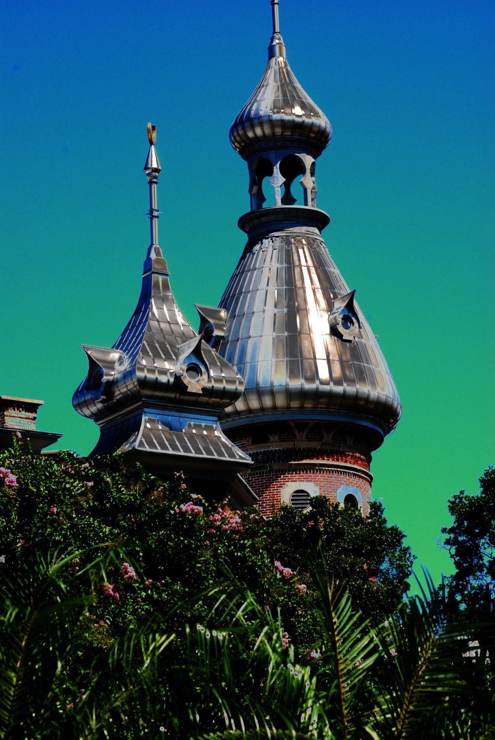University of Tampa- 4x6  photo