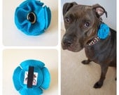 Aqua Button Flowery Day Felt Accessory for Pet Collars