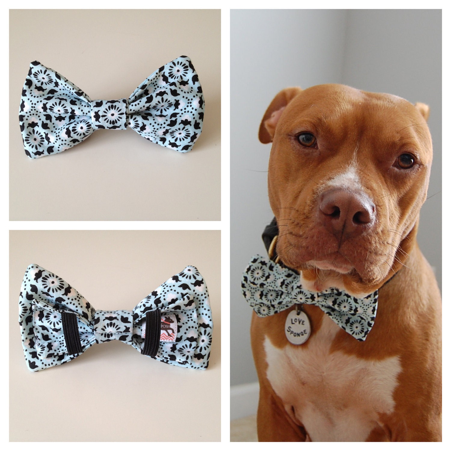 Light Blue, Black & White Boys Will Be Boys Bow Tie Collar Accessory for Pets
