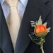 Bouquet with Vibrant Poppies, Succulents, Ranunculus and Blackberries (with Boutonniere)