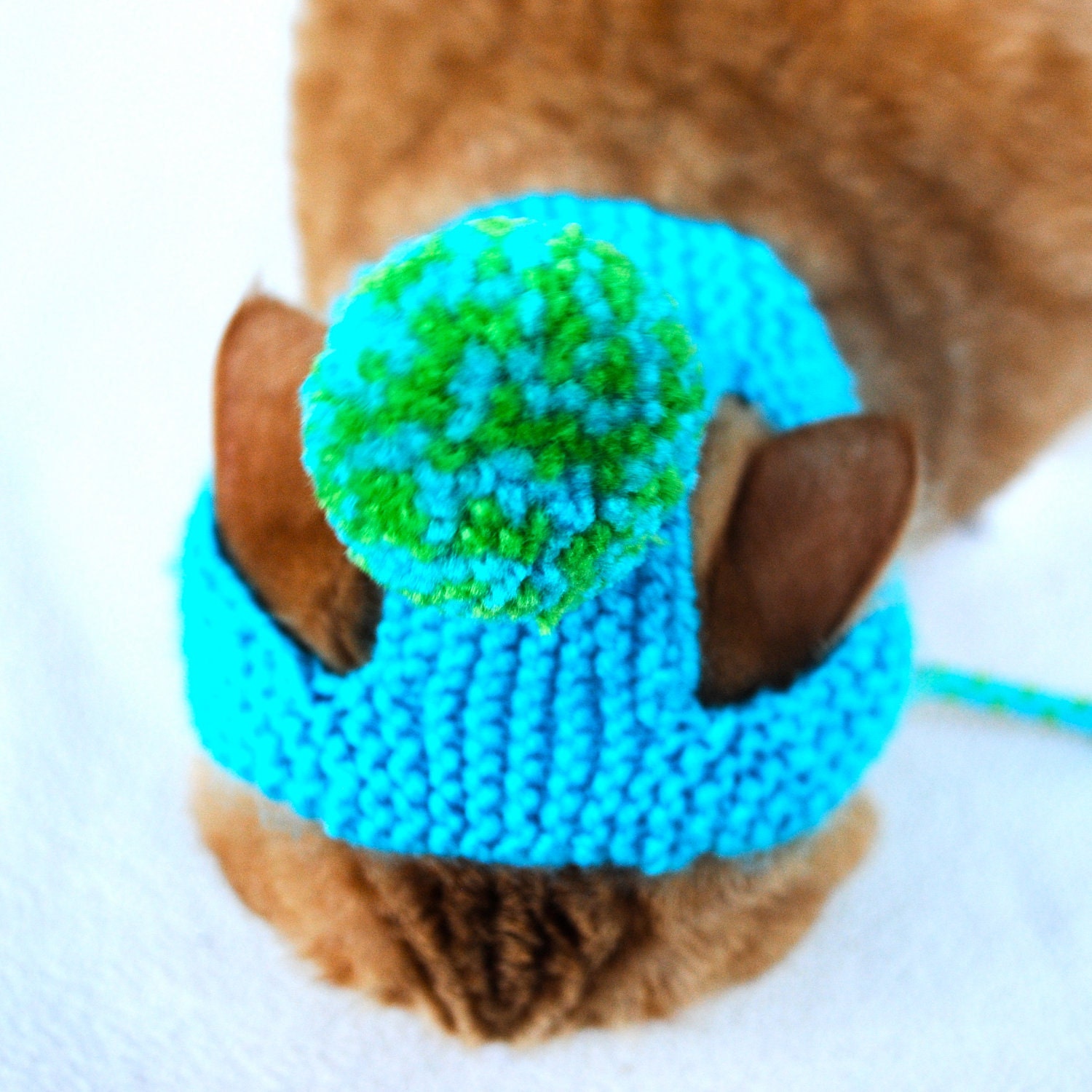Pom Pom Cat Hat - Teal and Lime Green