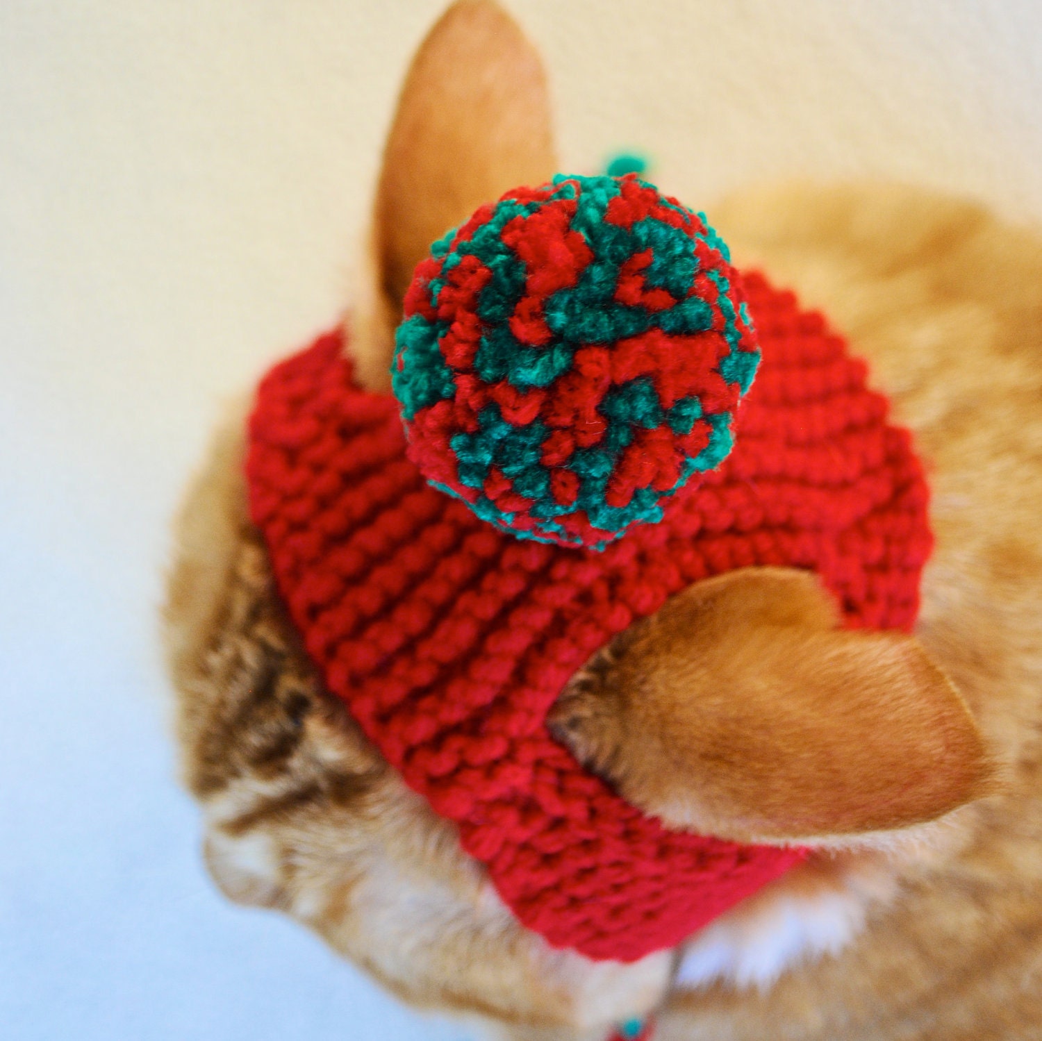 Pom Pom Cat Hat - Red and Green
