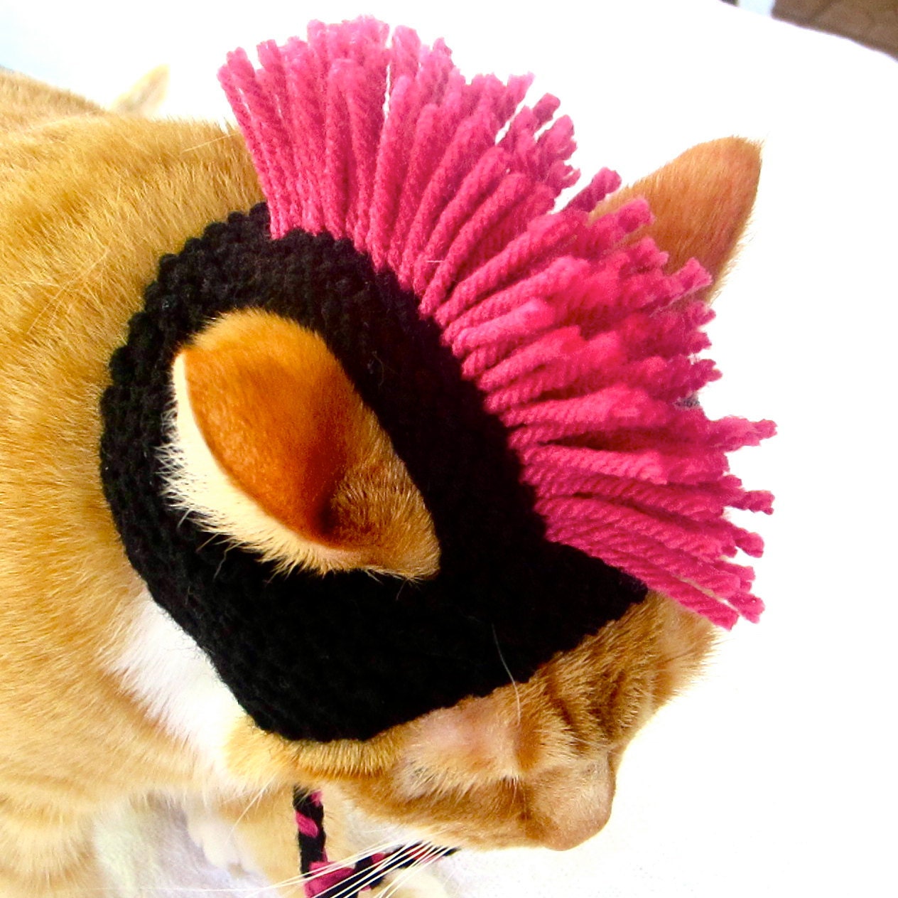 Mohawk Cat Hat - Black and Pink