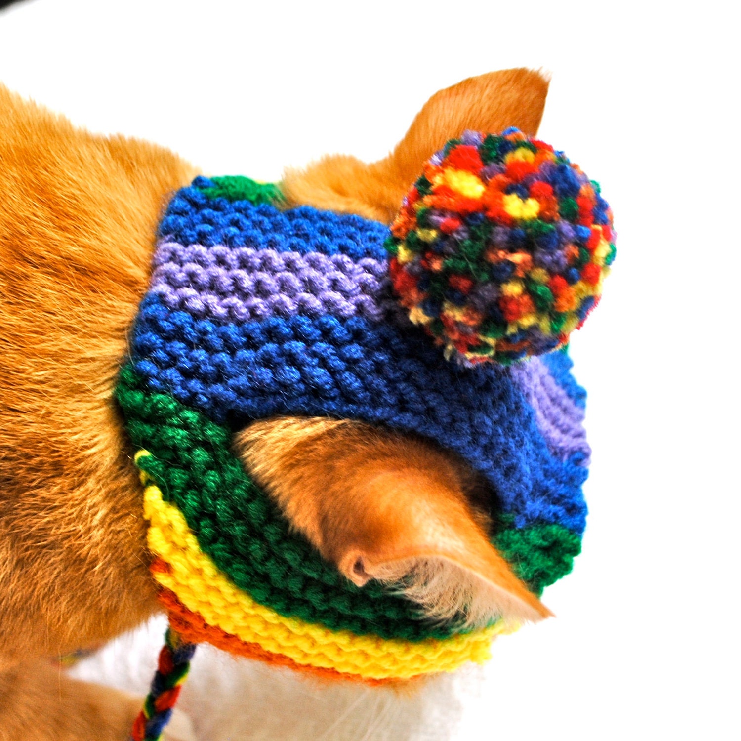Pom Pom Cat Hat - Rainbow (READY TO SHIP)