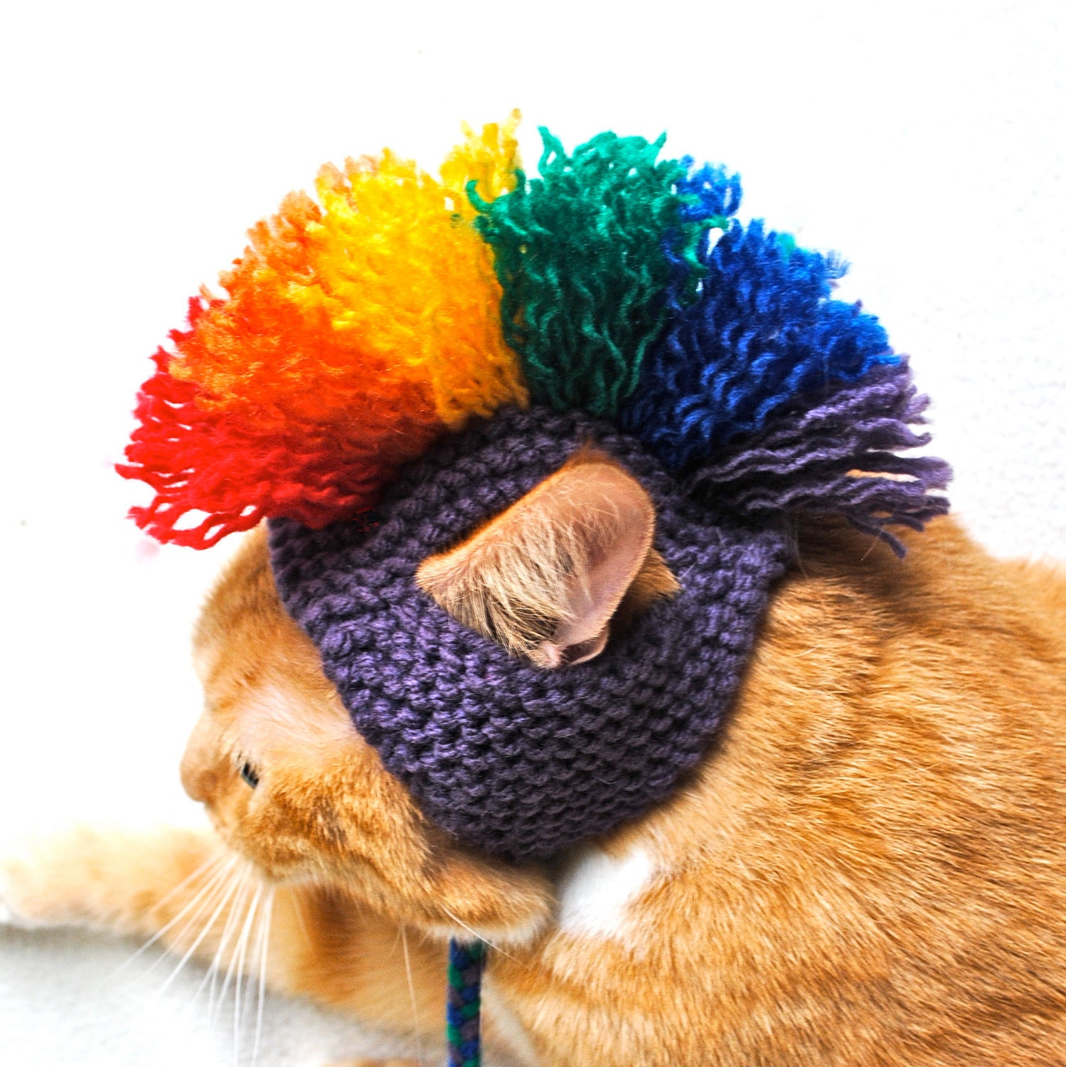 Cat Hat Costume - Purple and Rainbow Mohawk