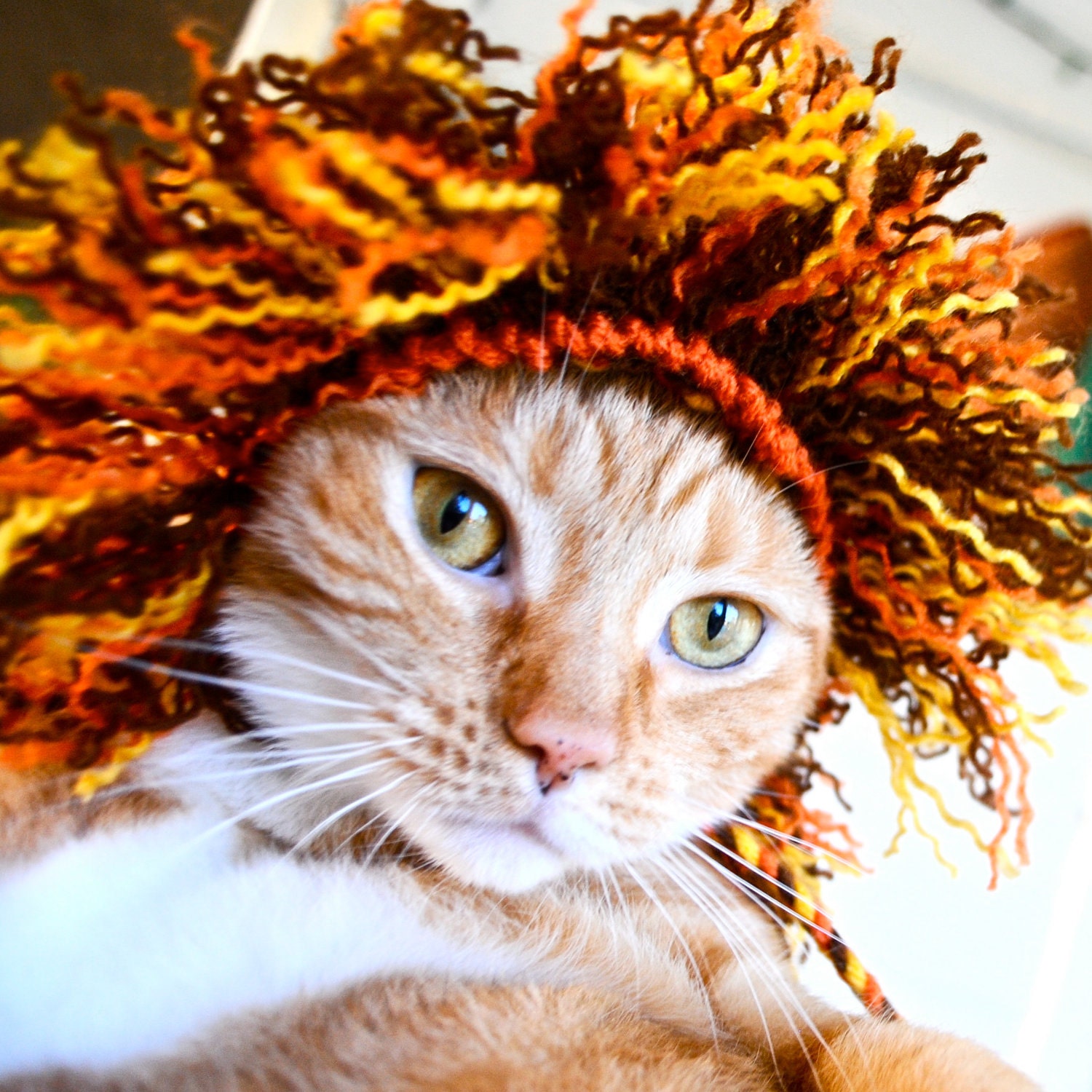 cat lion costume