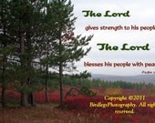 MAGNET - 5.59" x 4.33" - Trees and Plains of Dolly Sods with Bible Verse