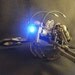 The Bionic Crawfish