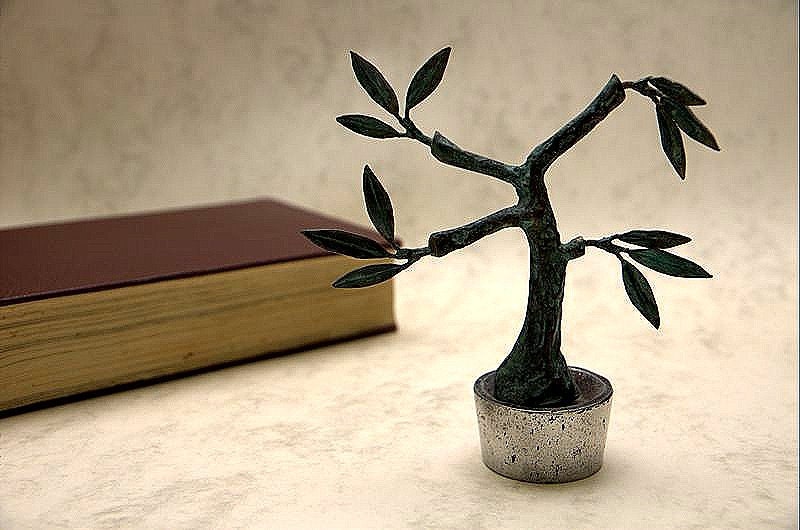 Olive Tree -  Ancient Greek Olive tree- Reproduction from greek Museums