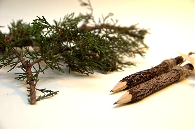 Wood Pencil - 2 pieces