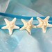 Starfish Headband Triple White Starfish on Elastic Headband Hippie Headwrap