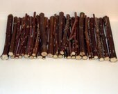 40 Wild Raspberry Mixed Chews For Rabbits, Guinea Pigs, Chinchillas, Gerbils, Hamsters,,,,,,