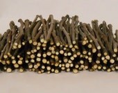 150 Apple Thin Chew Stick Bulk Pack For Rabbits, Guinea Pigs, Chinchillas, Gerbils, Hamsters,,,,,,