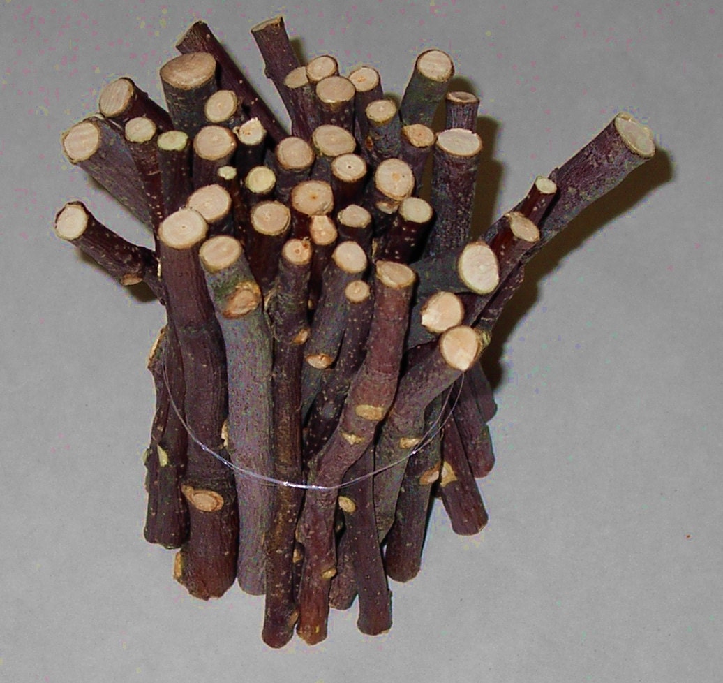45 Apple Chew Sticks For Rabbits, Guinea Pigs, Chinchillas, Gerbils, Hamsters,,,,,,
