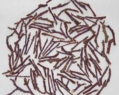100  Apple Chew Bits & Tips For Rabbits, Guinea Pigs, Chinchillas, Gerbils, Hamsters,,,,,,