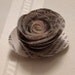 Paper Flower Rosettes - Set of 10