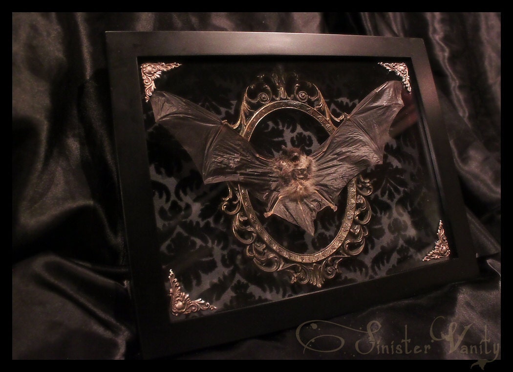 Gothic Taxidermy Bat Goth Curio Black Antique Damask Brass Filigree Neo-Victorian Shadow box frame macabre wall Plaque art