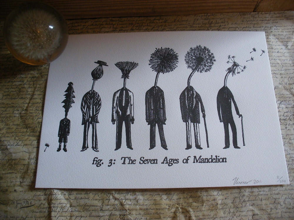 A4 Letterpress Print- The Seven Ages of Mandelion - Dandelion Letterpress Print- Unique Literary Gift