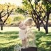 Big Ruffle Romper-with straps