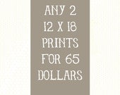 Choose any 2 12 x 18 prints for 65 dollars