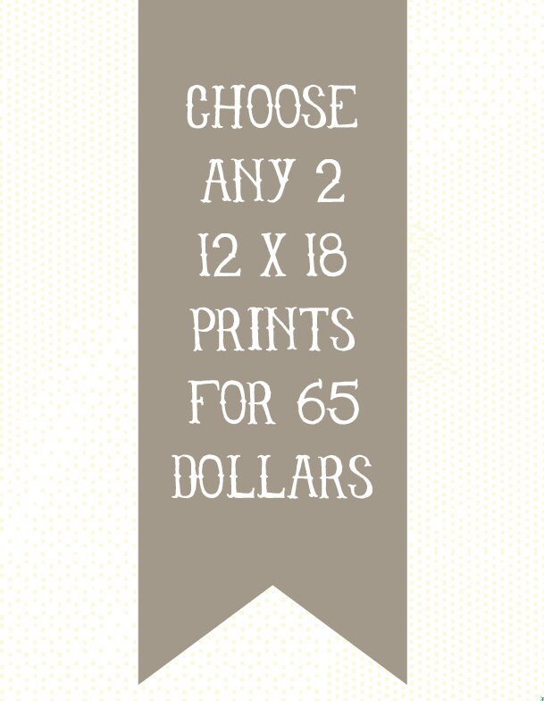 Choose any 2 12 x 18 prints for 65 dollars