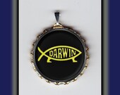 Dawin Evolution Fish Evolve Art Brass Charm
