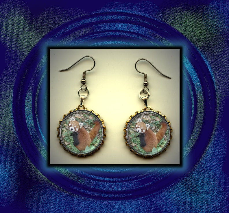 Red Panda Cute Photo Art Brass Charm Earrings
