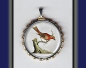 Tanager Variagated Beautiful Bird Art Brass Charm