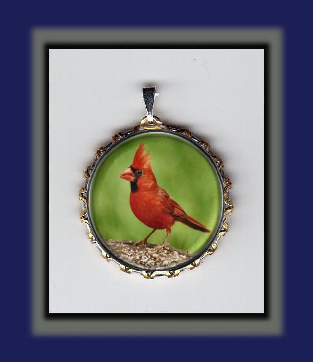 Red Cardinal Head Feathers Cute Photo Art Brass Charm
