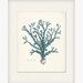 Vintage Sea Kelp Illustration No 3 Wall Decor Art Print 8x10 ocean teal