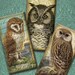 1x2 Inch Domino Tile Images - Victorian Textured Owls with Antique Maps,  Scroll and Script - Digital Collage Sheet