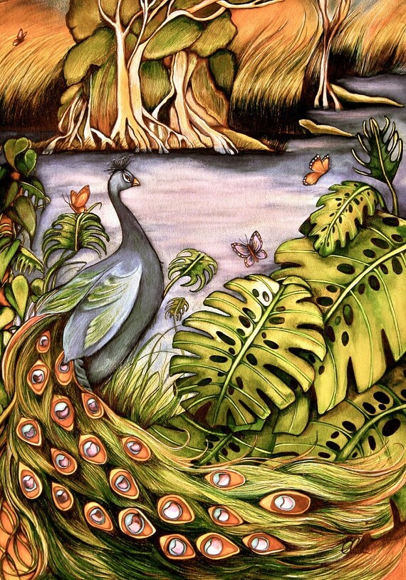 peacock art print