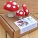 Needle Felt Toadstools Kit - DIY Felting Craft Kit