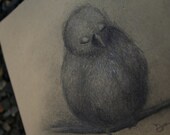 PRINT AVAILABLE ONLY - Sketch 10 - The Finch - Over Morning Coffee August 2011 Series