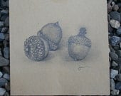 PRINT AVAILABLE ONLY - Sketch 29 - Acorns of Autumn - Over Morning Coffee August 2011 Series