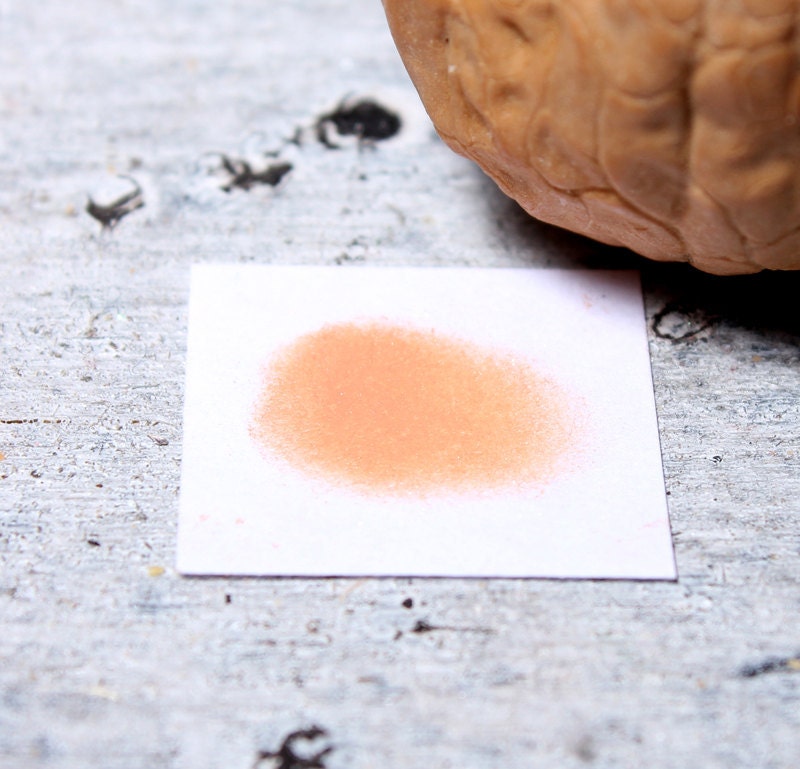 Walnut - Vegan Mineral Eyeshadow
