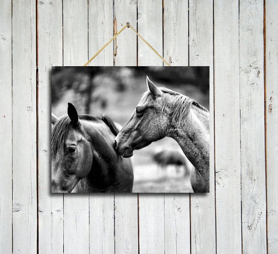 Comfortably familiar - 8x10 print - Black and White Wall art - Black and white horse art - Black and white decor - Horse wall art.