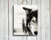 The Wolf - Wolf photo - Wolf decor - Native American style decor - Black and White wolf - Wolf dog photo - Wolf photography - EmeraldTownRaven