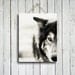 The Wolf -  Wolf decor - Black and White wolf - Wolf dog photo - Wolf photography